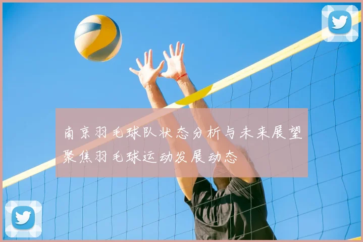 南京羽毛球队状态分析与未来展望聚焦羽毛球运动发展动态