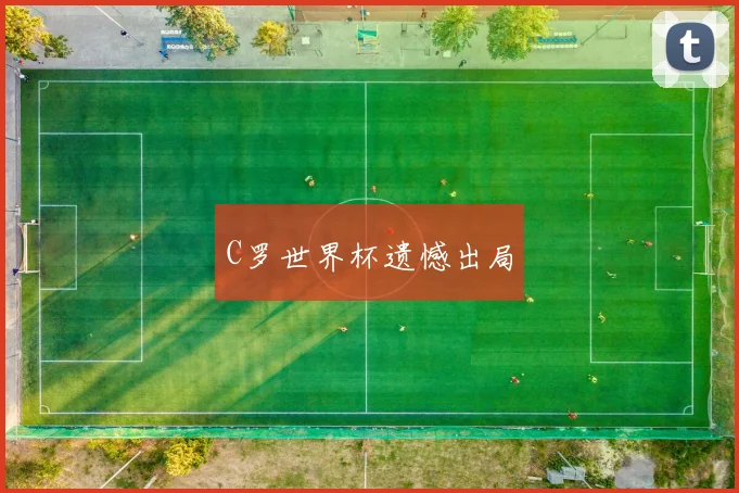 C罗世界杯遗憾出局