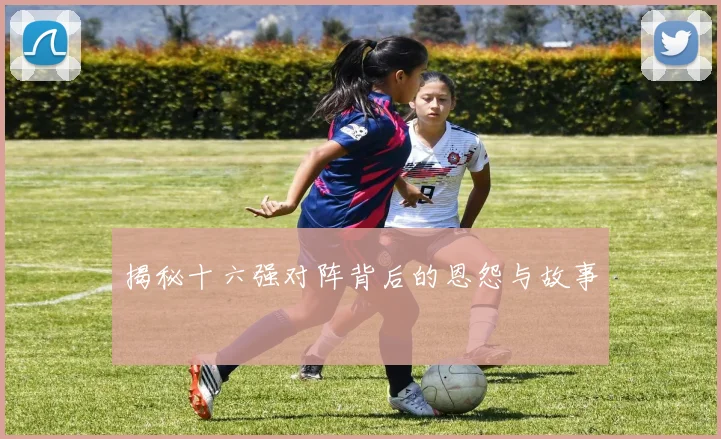 揭秘十六强对阵背后的恩怨与故事