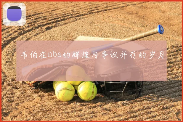 韦伯在nba的辉煌与争议并存的岁月