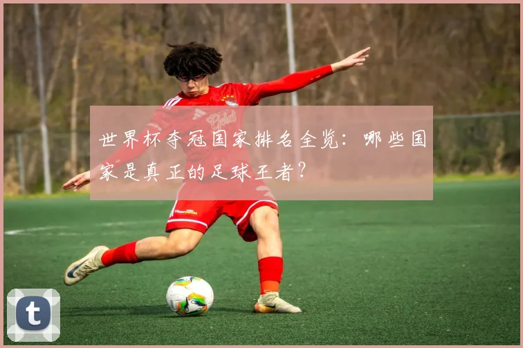 世界杯夺冠国家排名全览：哪些国家是真正的足球王者？