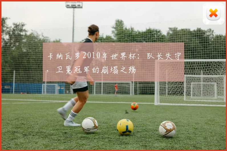 卡纳瓦罗2010年世界杯：队长失守，卫冕冠军的崩塌之殇
