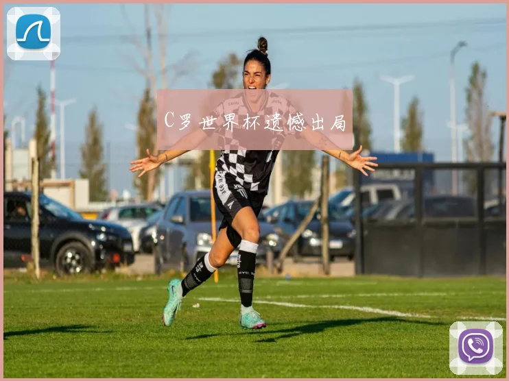 C罗世界杯遗憾出局