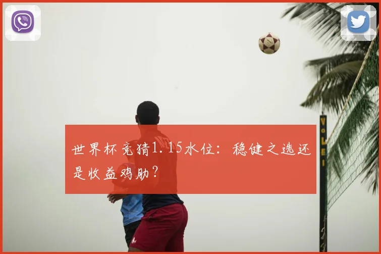 世界杯竞猜1.15水位：稳健之选还是收益鸡肋？