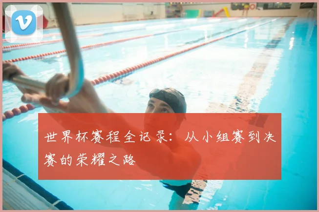 世界杯赛程全记录：从小组赛到决赛的荣耀之路